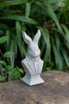 Rabbit Bust Accent