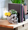 Skull Planter - Large
