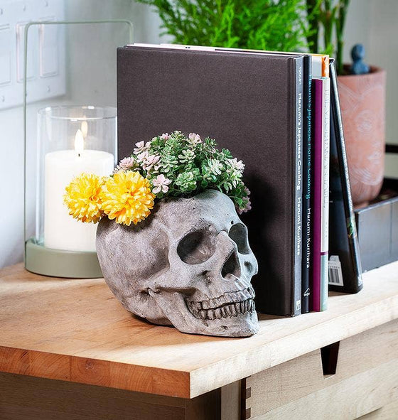 Skull Planter - Large