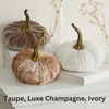 Pumpkin Small Velvet, Valentine's mantel, Autumn table, Gift: Emerald
