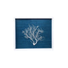 Sealife Shadow Box - Bungalow 56