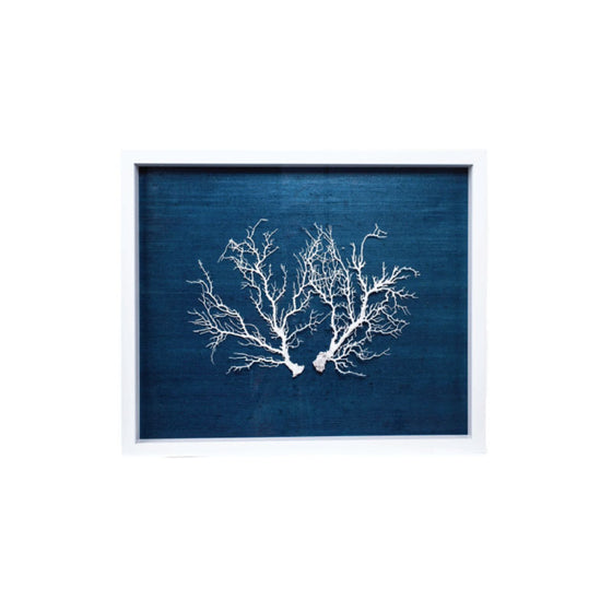 Sealife Shadow Box - Bungalow 56
