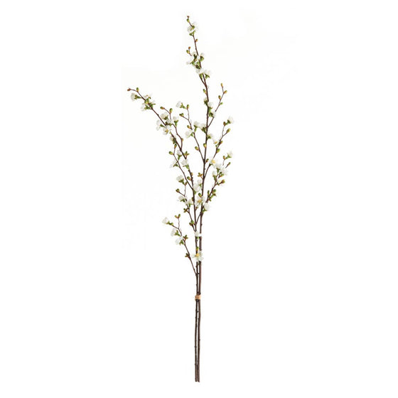 Quince Blossom Branches